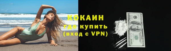 СК Каменногорск