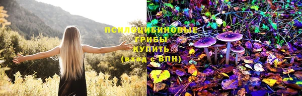 СК Каменногорск