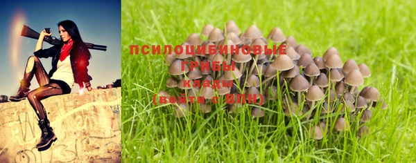 СК Каменногорск