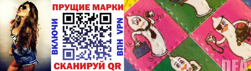 darknet какой сайт  Стерлитамак  Марки 25I-NBOMe 1500мкг  закладка 
